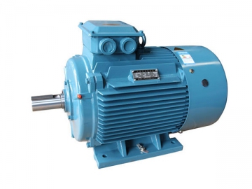 Three-Phase Induction Motor (for Land Use)